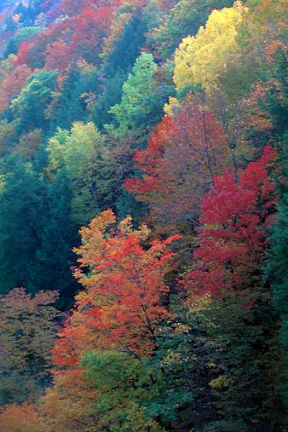 [Fall colors at Quechee Gorge]