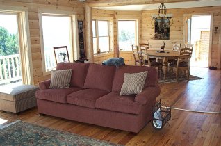 couch and Dining room