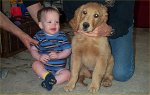 Owen with Maggie the Golden