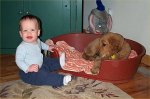 Owen with Maggie the Golden