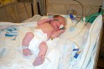 one hour old
