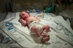 one hour old