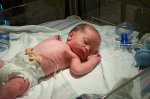 one hour old